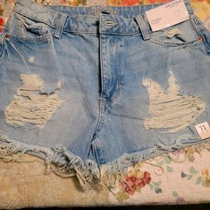 Arizona shorts